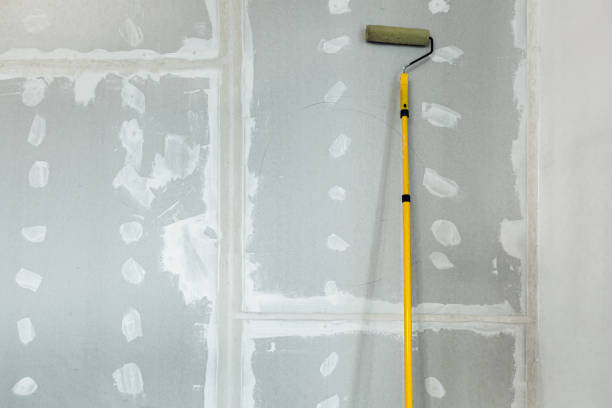 Wallpaper Removal and Painting in Montello, WI